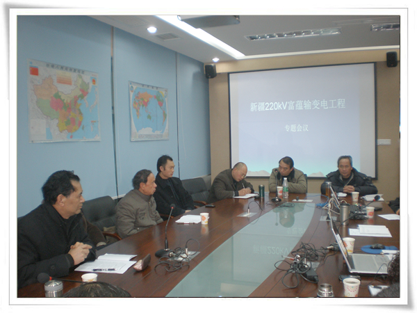 公司召开新疆工程专题会议