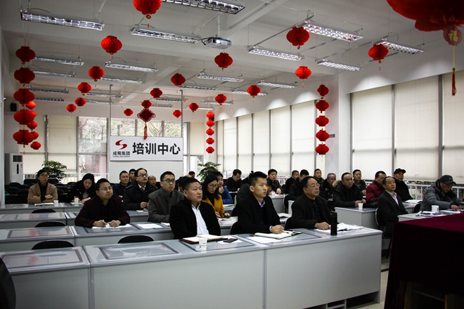 成蜀电力集团安全生产委员会 2018年首次会议隆重召开