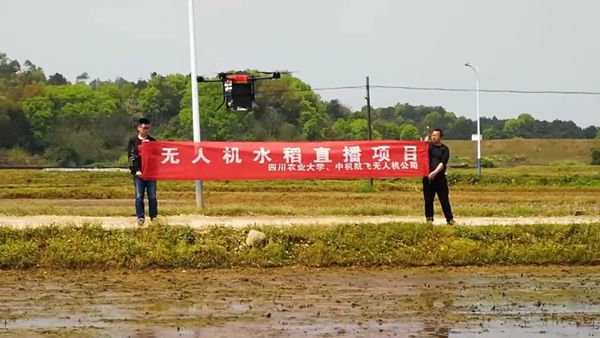 中机航飞无人机实现水稻直播