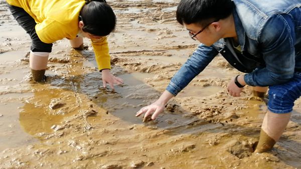 中机航飞无人机实现水稻直播