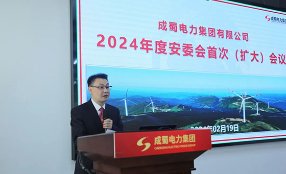 成蜀电力集团召开2024年度安委会首次（扩大）会议