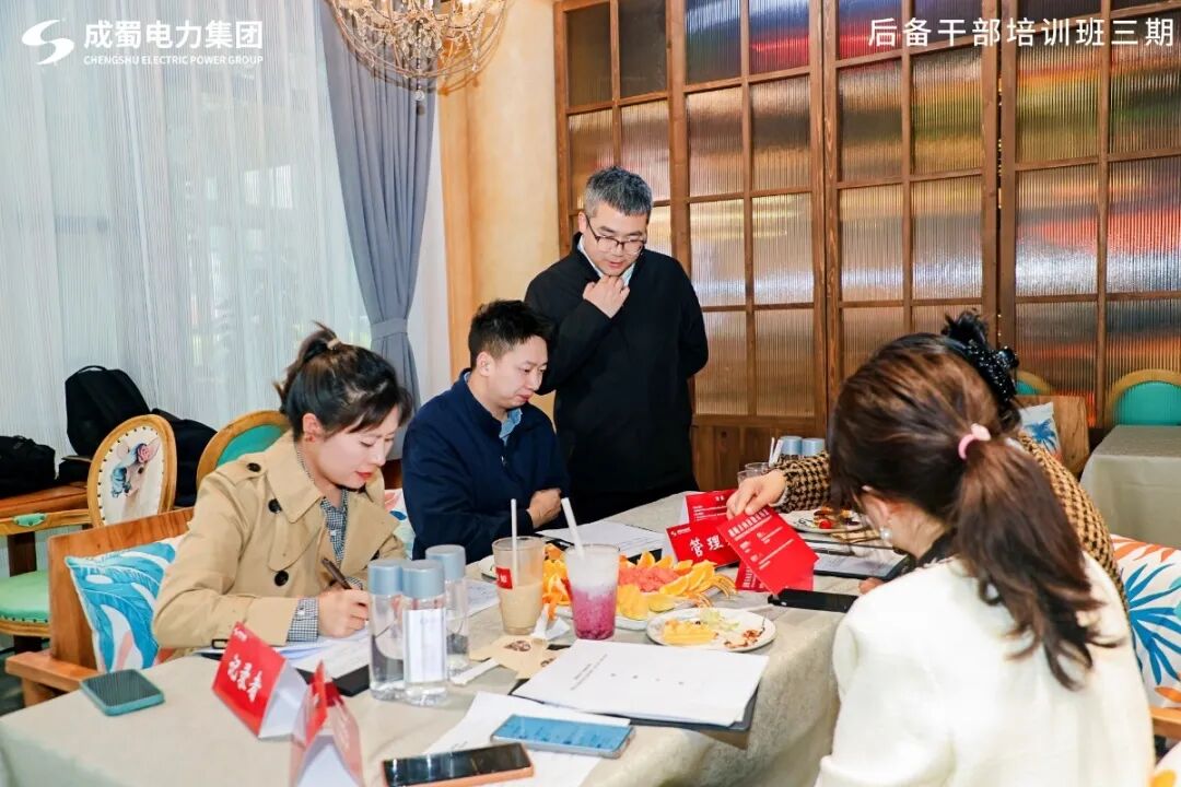 战略对齐聚合力 思维对频启新程—成蜀电力集团开展主题培训活动