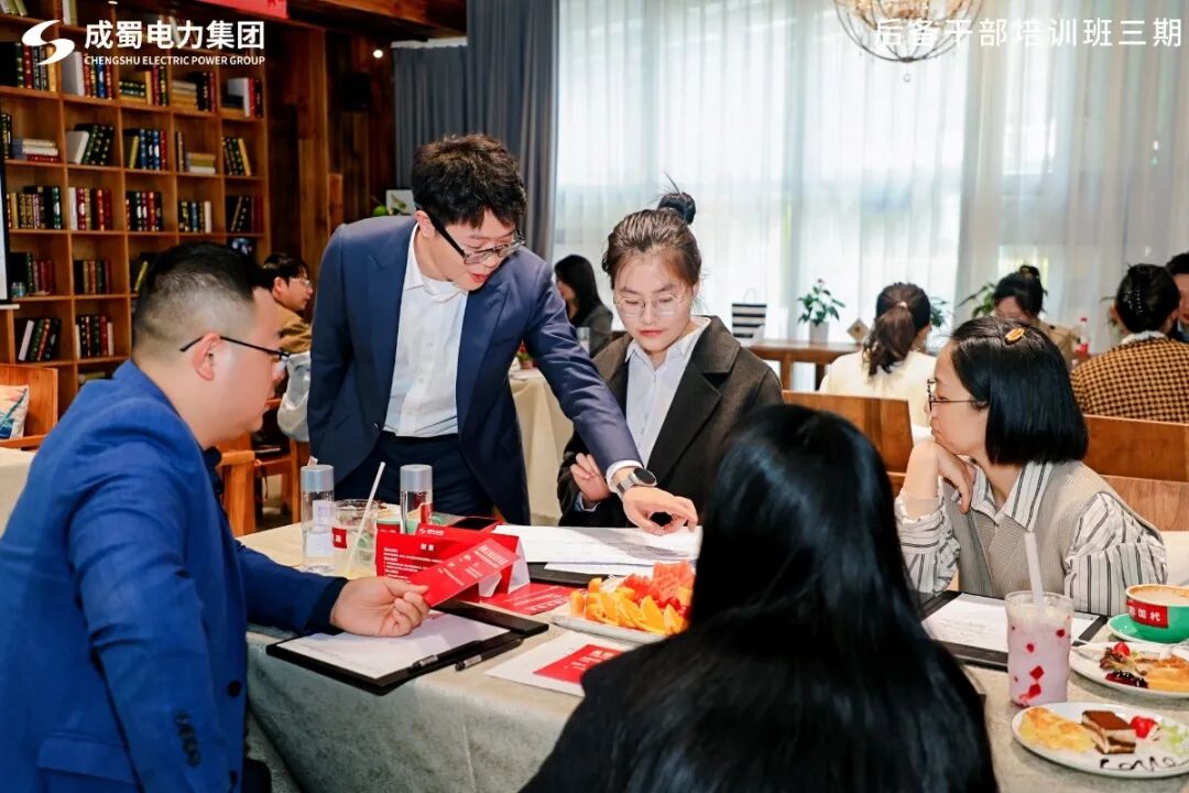 战略对齐聚合力 思维对频启新程—成蜀电力集团开展主题培训活动